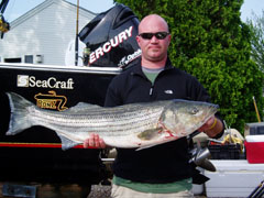 Biggest Striped Bass for June